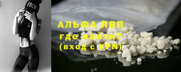 индика Армянск