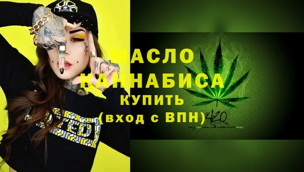 индика Армянск